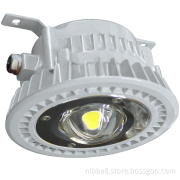 Flame Proof Light with ATX Approval